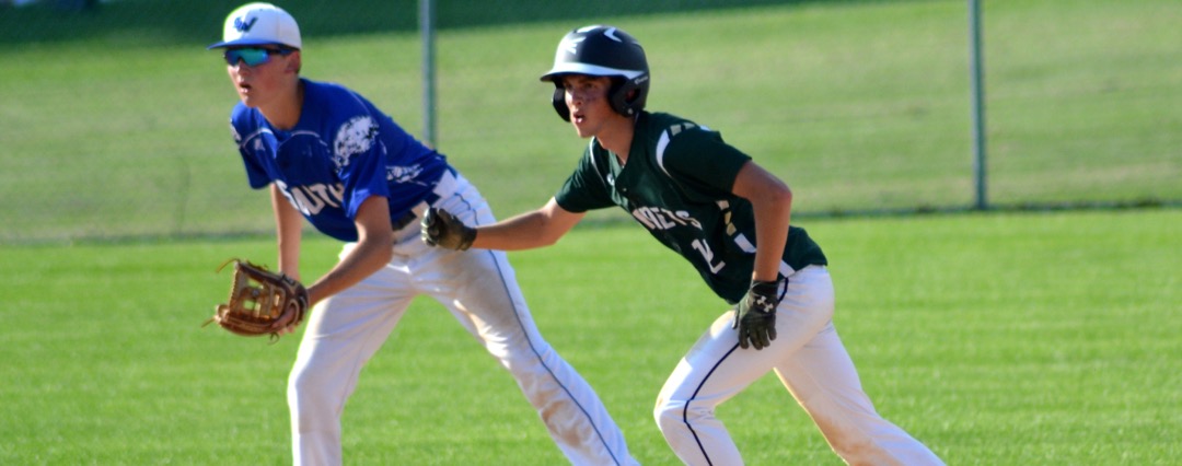 Hornets fall to South Williamsport in D4 title game Hornets fall to South Williamsport in D4 title game